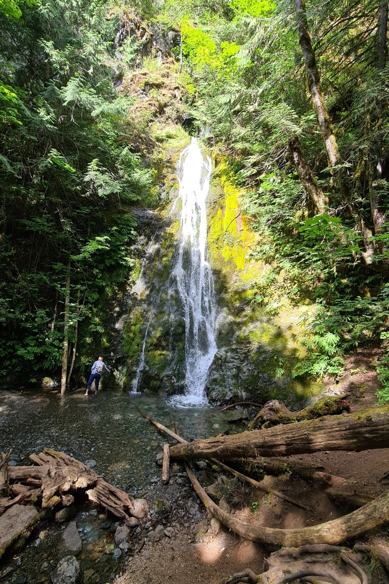 4 Most Accessible Waterfalls In Olympic National Park Our Globetrotters