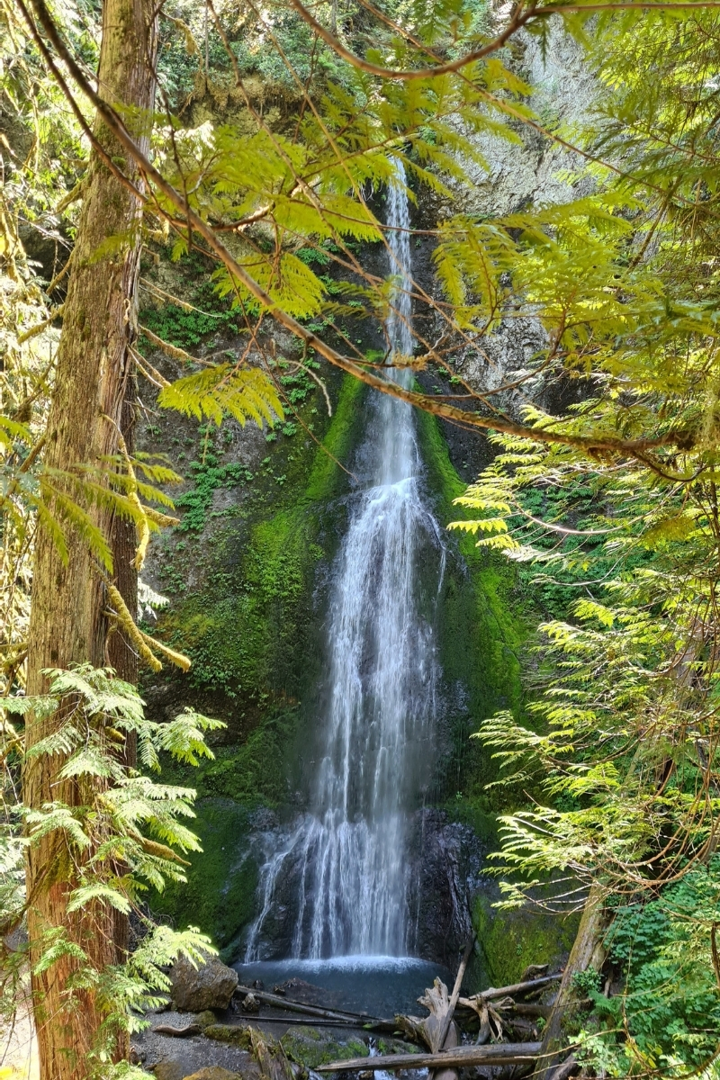 4 Most Accessible Waterfalls In Olympic National Park Our Globetrotters