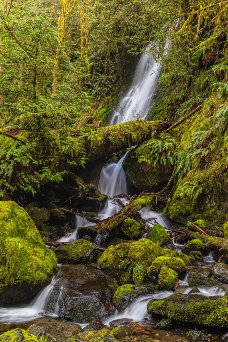 4 Most Accessible Waterfalls In Olympic National Park Our Globetrotters