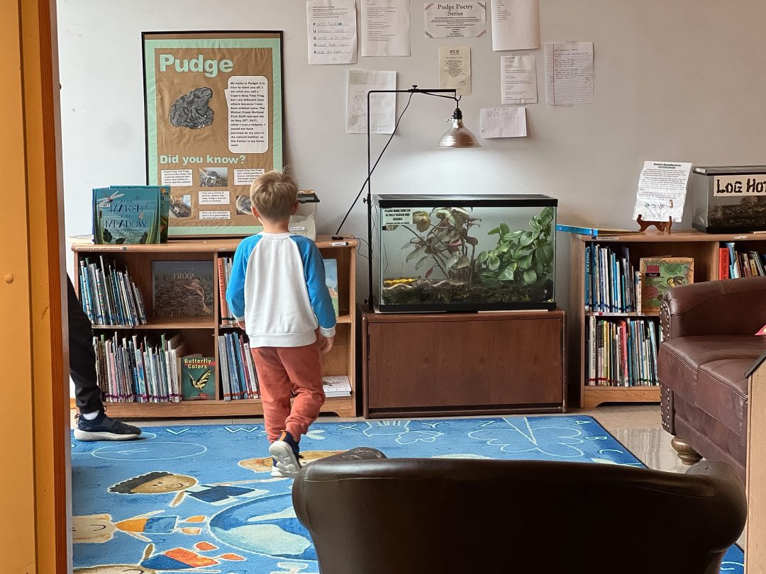 a child inside a nature center Raleigh NC