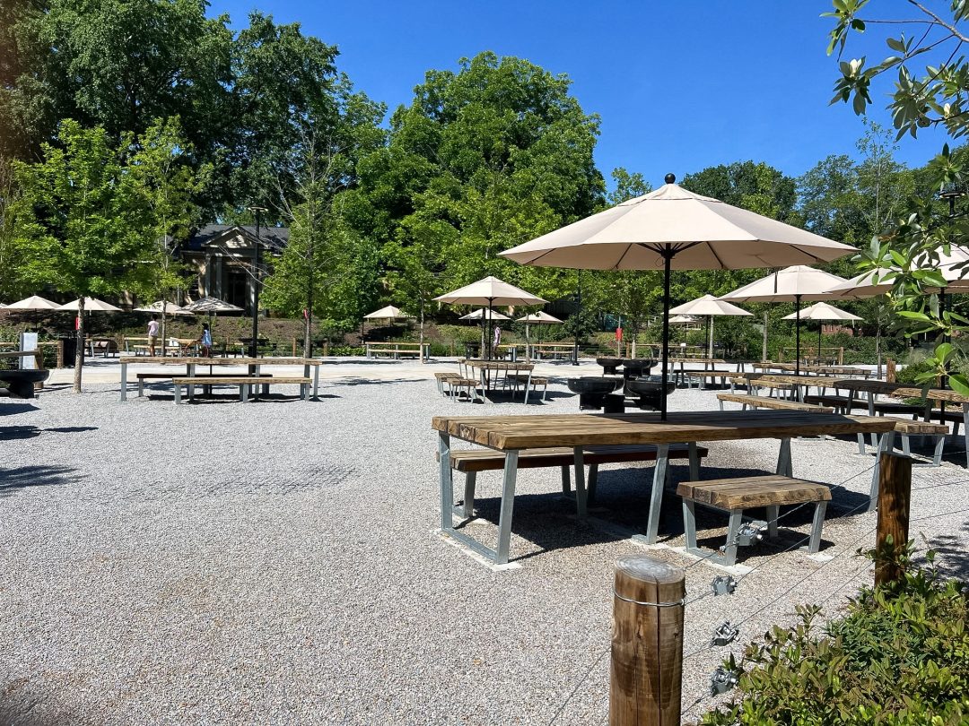 picnic area in Dix Park